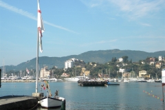FESTE_N.S._DI_MONTALLEGRO_2010_036