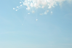 FESTE_N.S._DI_MONTALLEGRO_2010_092