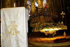 DSCN6580_(Copia)