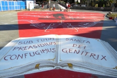 DSCN6638_(Copia)