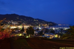 DSC_3795_(Copia)