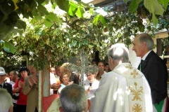 Novena, Feste di Luglio, Scioglimento del Voto 2012. 127