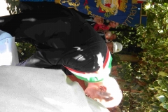Novena, Feste di Luglio, Scioglimento del Voto 2012. 128