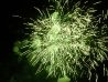 Luglio2010_00036