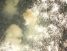 Luglio2010_00078