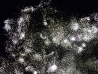 Luglio2010_00129