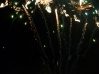 Luglio2010_00155